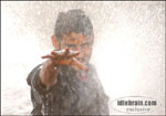Pokiri