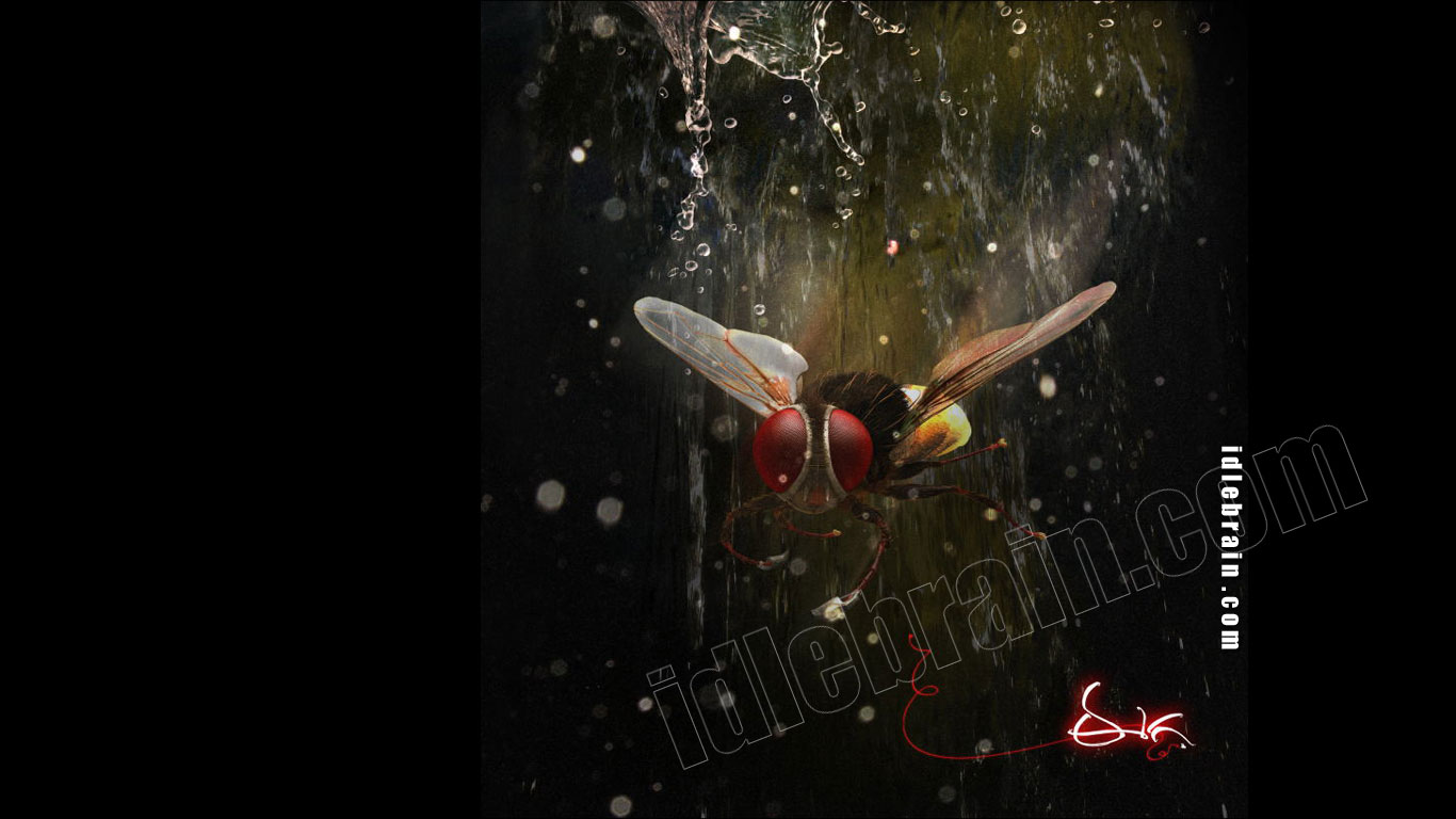 Eega