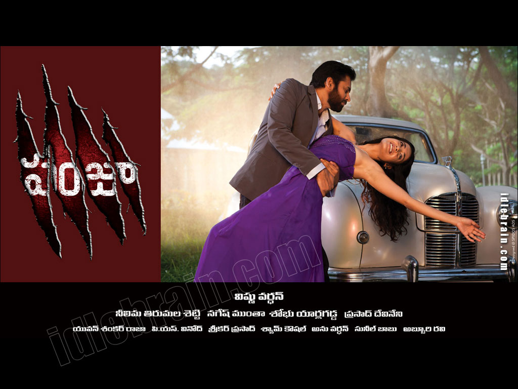 Panjaa