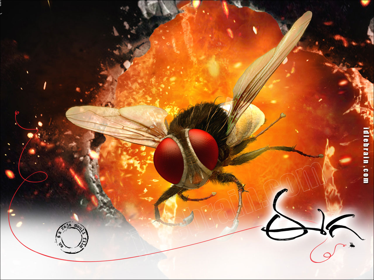 Eega